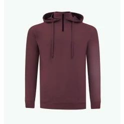 SWANNIES VanDyke Hoodie -Golf Sales Store swannies vandyke hoodie maroon 01 80897.1679426278